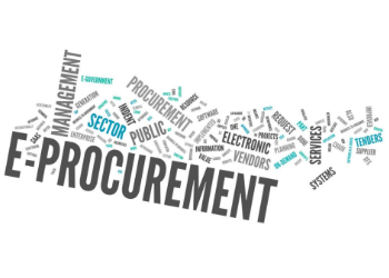 Auswahl und Einführung einer E-Procurement-Software eBook